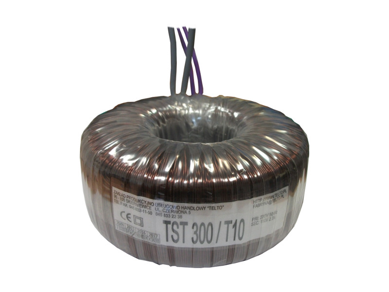 Transformator toroidalny sieciowy TST  300/T010 230/110V